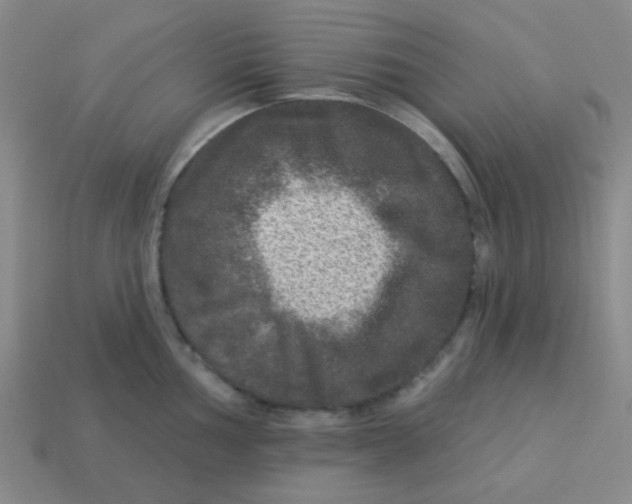 X0000113881002200910221352