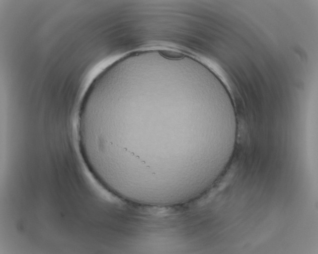 X0000113881003200910221352