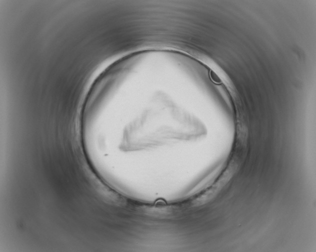 X0000113881004200910221352
