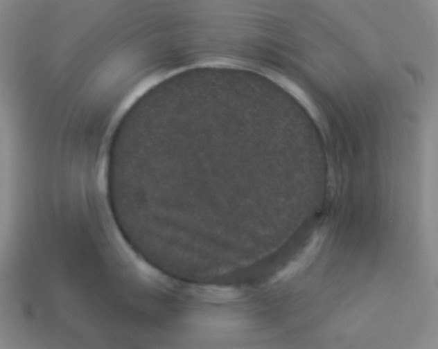 X0000113881007200910221352