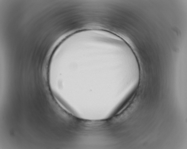X0000113881008200910221352