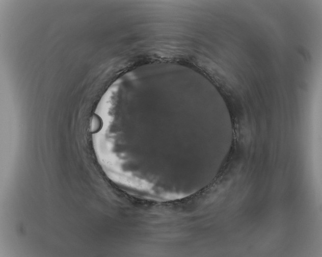 X0000113881009200910221351