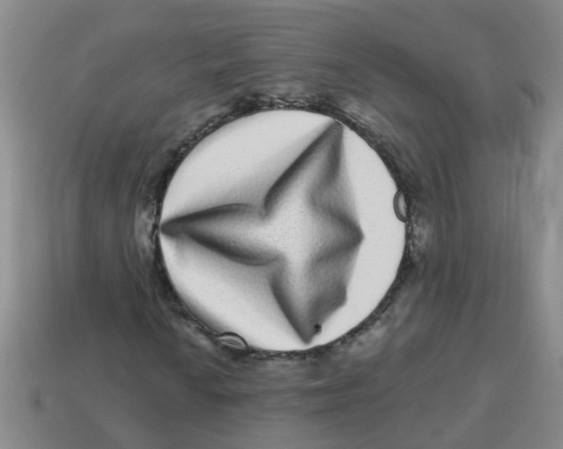 X0000113881010200910221351