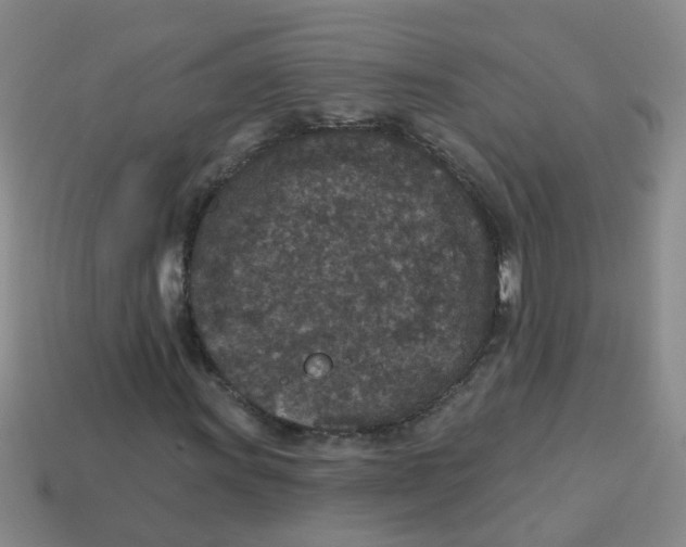 X0000113881011200910221351