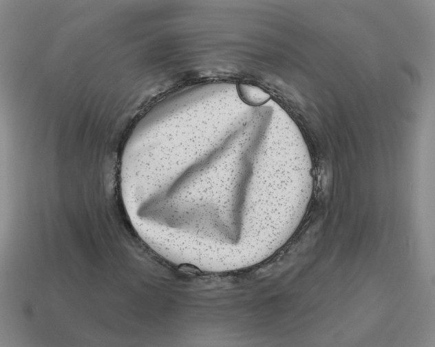 X0000113881012200910221351