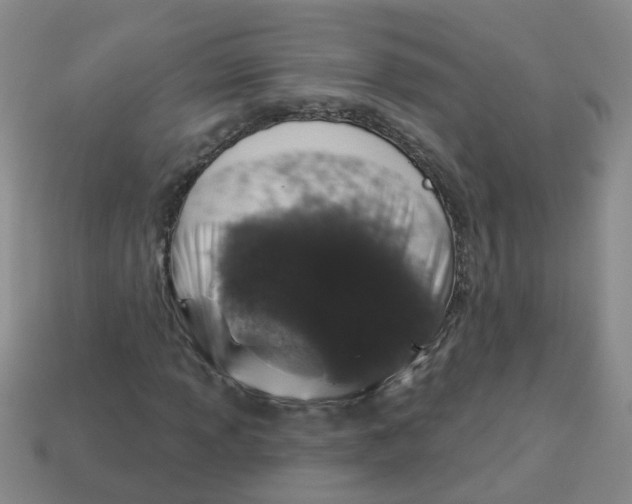 X0000113881013200910221351