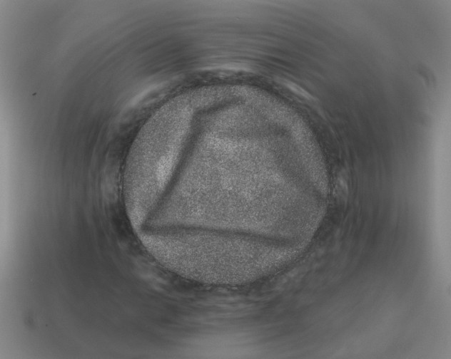 X0000113881014200910221351