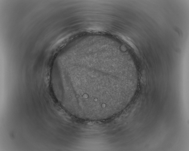 X0000113881015200910221351
