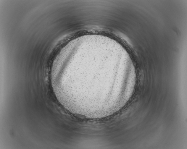 X0000113881016200910221351