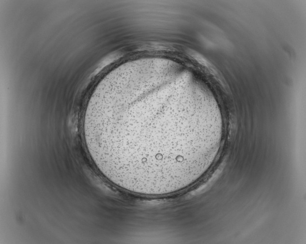 X0000113881017200910221351