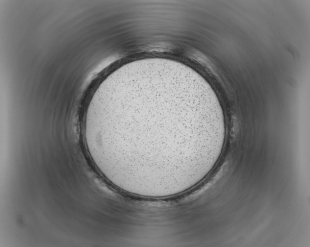 X0000113881018200910221351