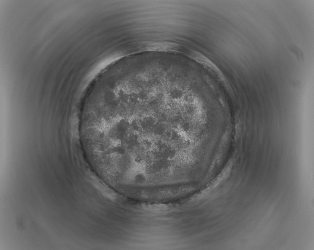 X0000113881019200910221351