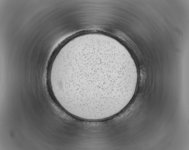 X0000113881020200910221351