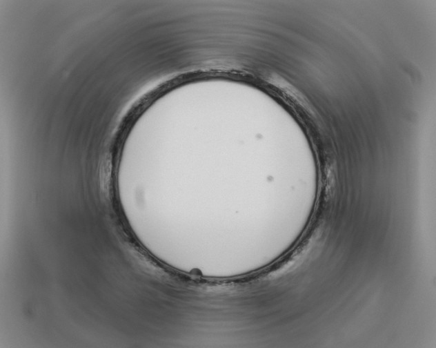 X0000113881021200910221351