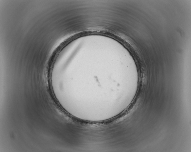 X0000113881022200910221351