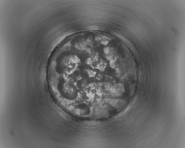 X0000113881023200910221351