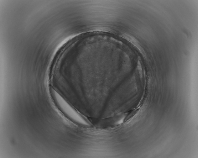 X0000113881024200910221351