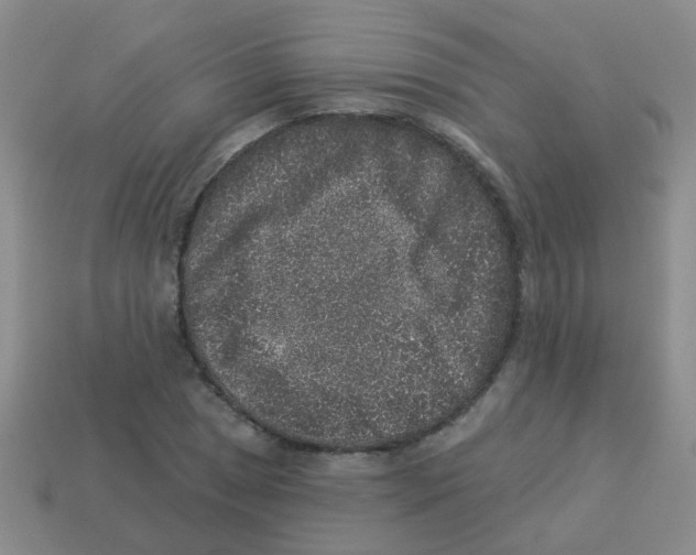X0000113881025200910221351