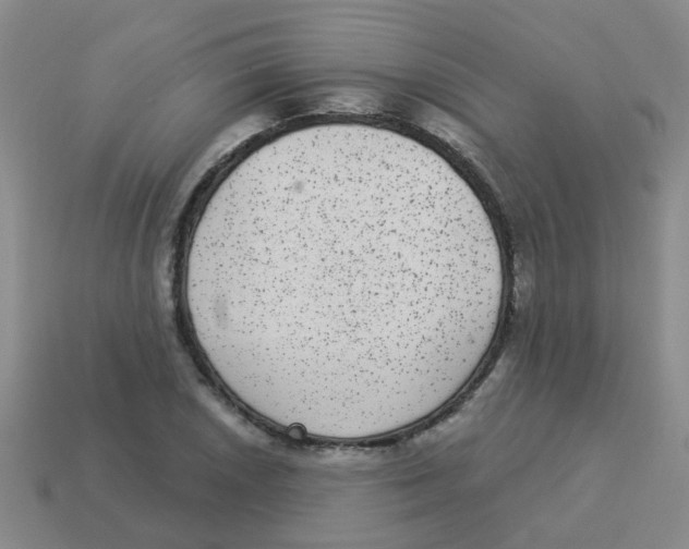 X0000113881026200910221351