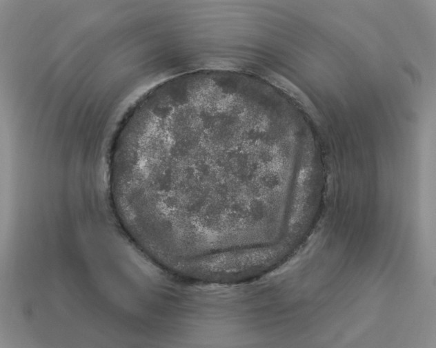 X0000113881027200910221351