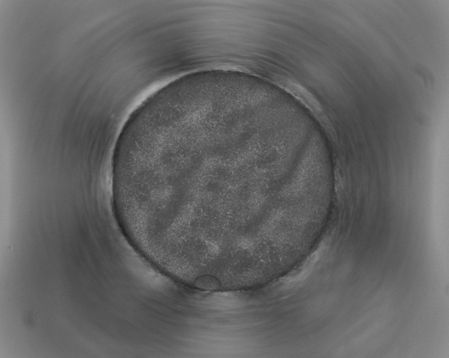 X0000113881028200910221351