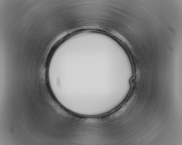 X0000113881029200910221351