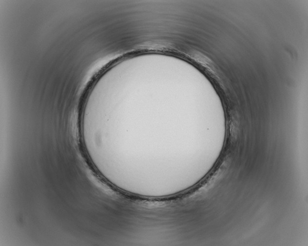X0000113881030200910221351