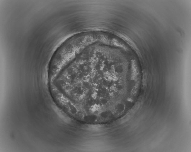 X0000113881031200910221351