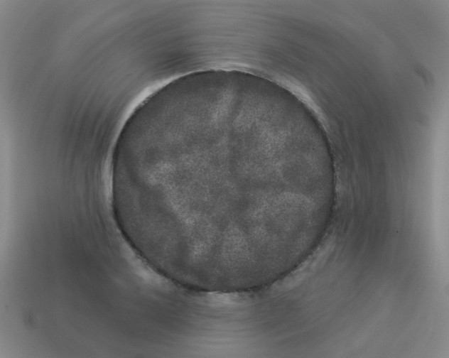 X0000113881032200910221351
