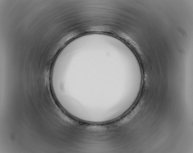 X0000113881033200910221351