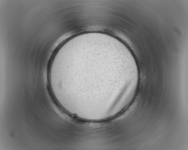 X0000113881034200910221352
