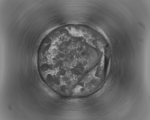 X0000113881035200910221352