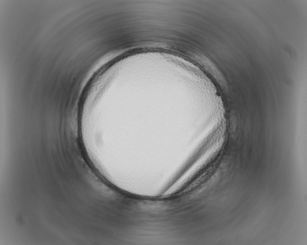 X0000113881036200910221352