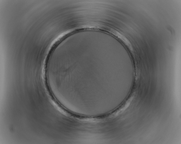 X0000113881037200910221352