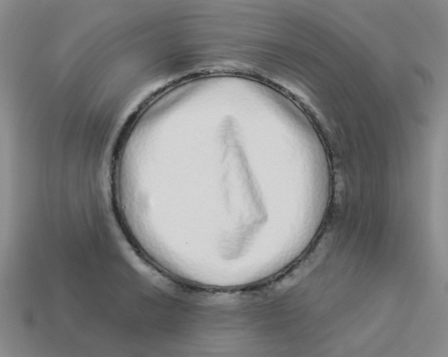 X0000113881038200910221352