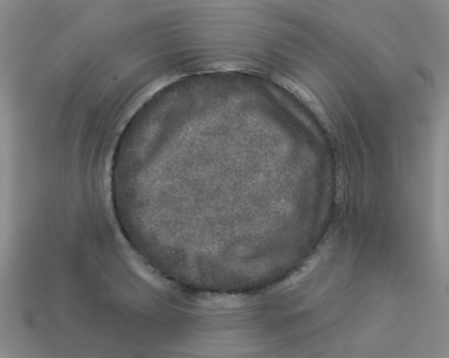 X0000113881039200910221352