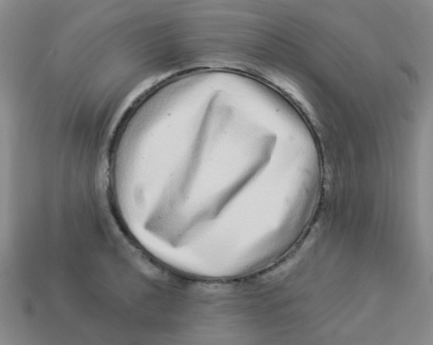 X0000113881040200910221352