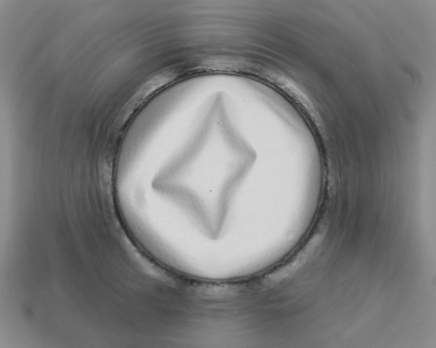 X0000113881041200910221352