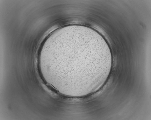 X0000113881042200910221352
