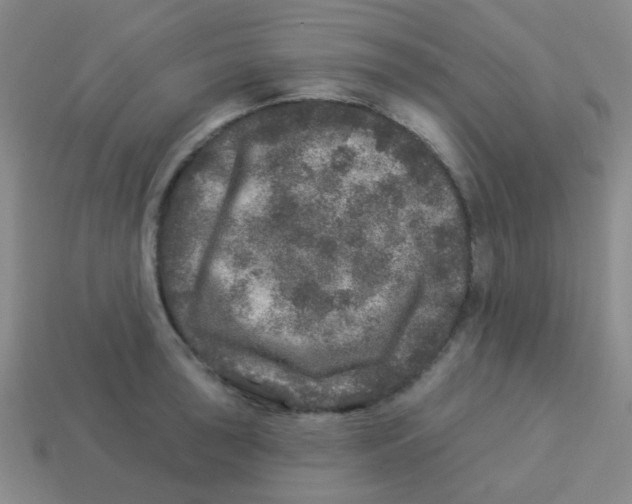 X0000113881043200910221352