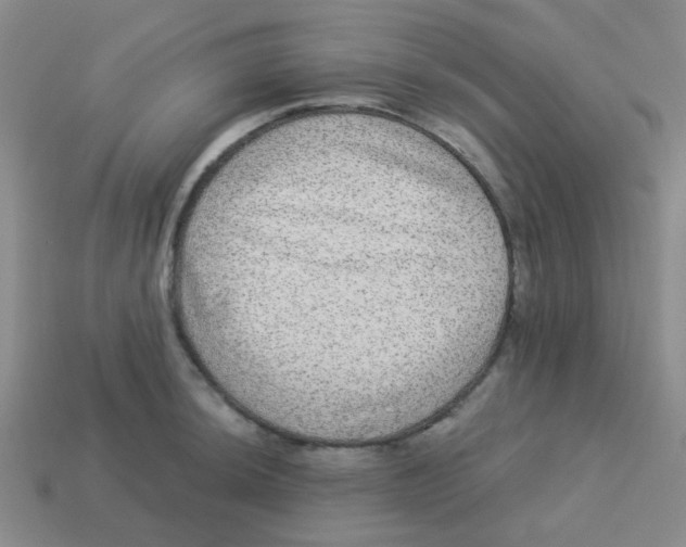 X0000113881044200910221352