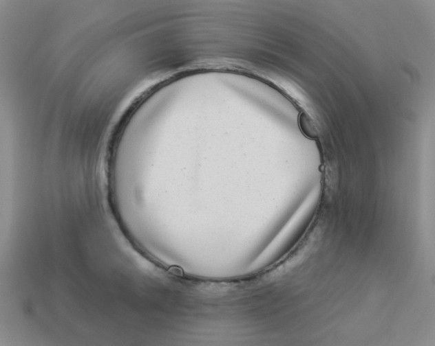 X0000113881046200910221352