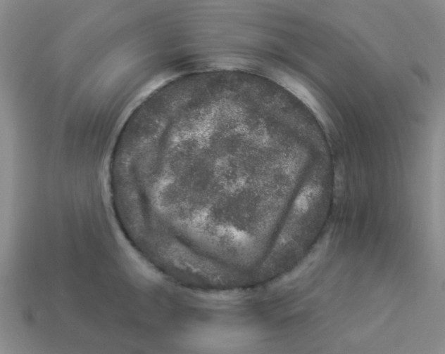 X0000113881047200910221352
