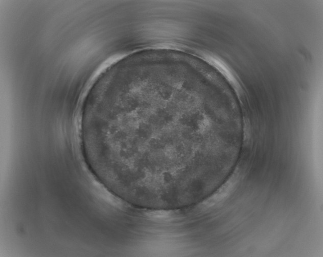 X0000113881048200910221352