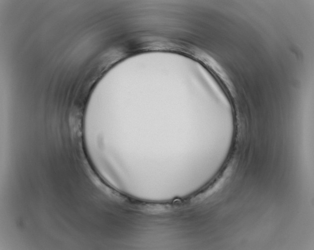 X0000113881049200910221352
