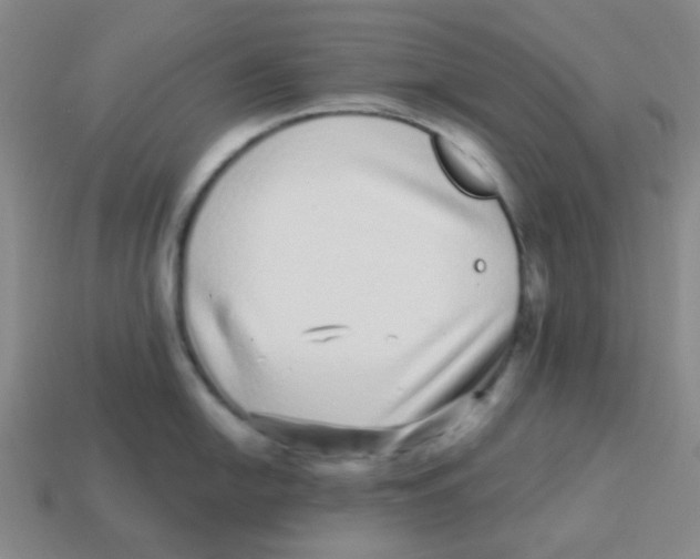 X0000113881054200910221352