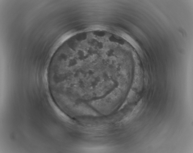X0000113881055200910221352