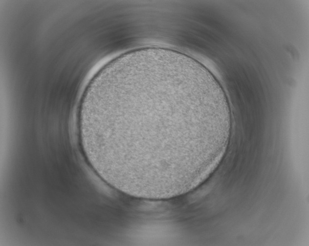 X0000113881056200910221352