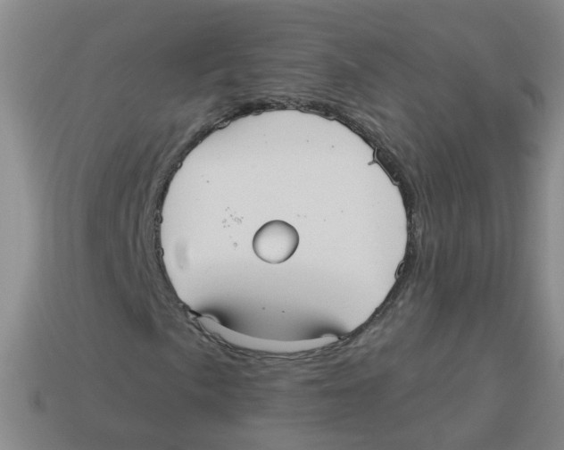 X0000113881057200910221351