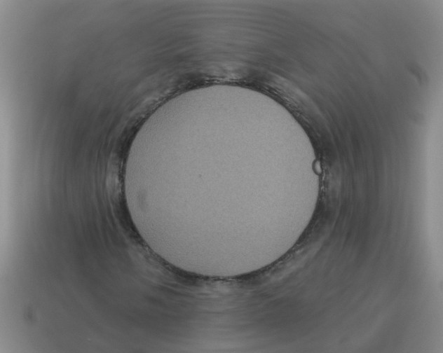 X0000113881058200910221351